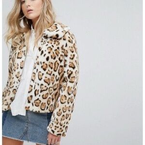 Hollister Animal Print Teddy Jacket